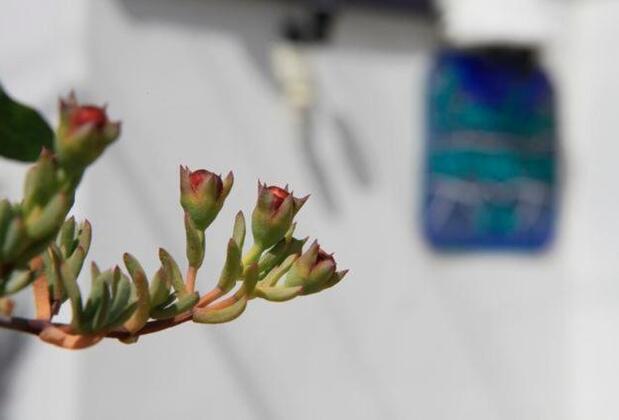 Emelce Apart - Görsel 18