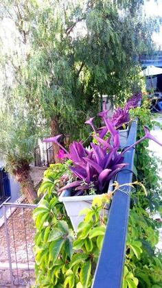 Emelce Apart - Görsel 10