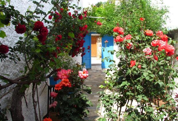 Amazon Antik Guest House Selçuk - Görsel 4