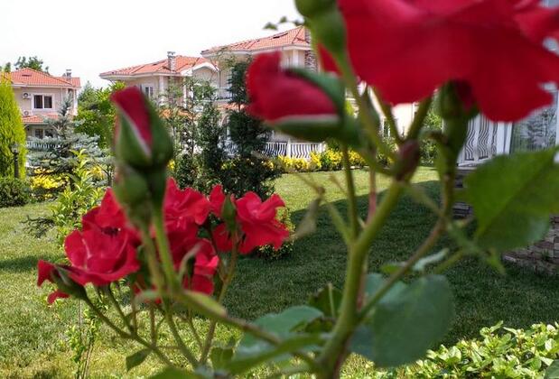 Palace Kırkpınar Luxury Villas - Görsel 19