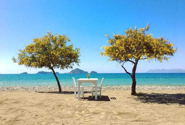 Yonca Lodge - Görsel 10