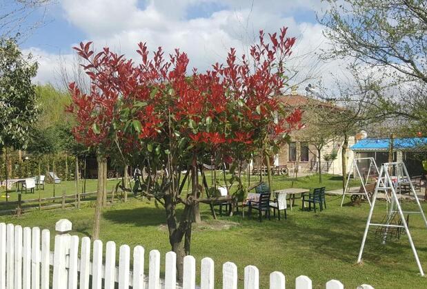 Sapanca Atlı Köşk Butik Otel - Görsel 11