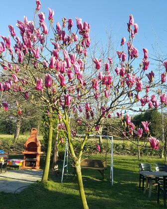 Sapanca Atlı Köşk Butik Otel - Görsel 19