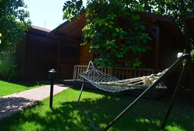 Caretta Caretta Pansiyon - Görsel 5