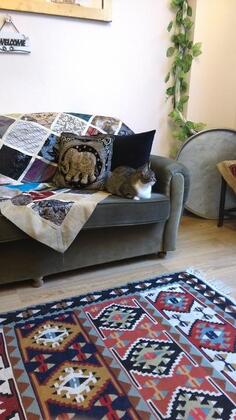 Konut Wooden House - Görsel 8