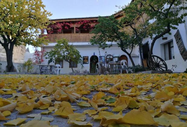 Ufuk Pension Göreme - Görsel 5