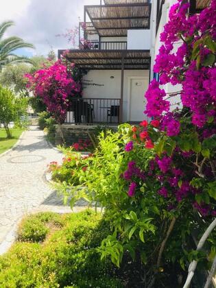 Dorman Suites Hotel - Görsel 12