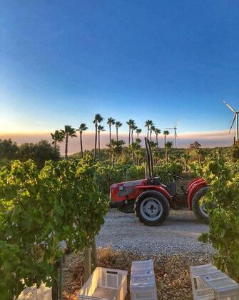 2 Rooms Hotel - Görsel 7