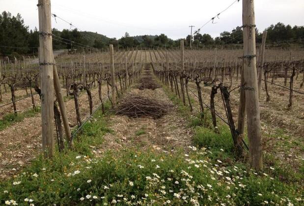 2 Rooms Hotel - Görsel 15