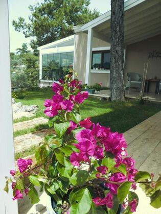 D&C Göcek Hotel - Görsel 33