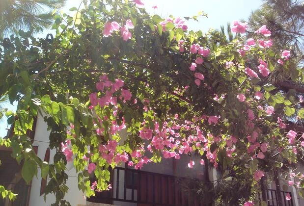 Nova Aparts - Görsel 15