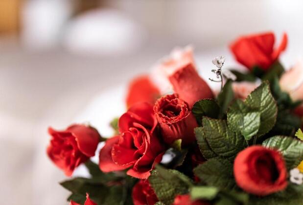 Aristo Galata Apartment İstanbul - Görsel 39