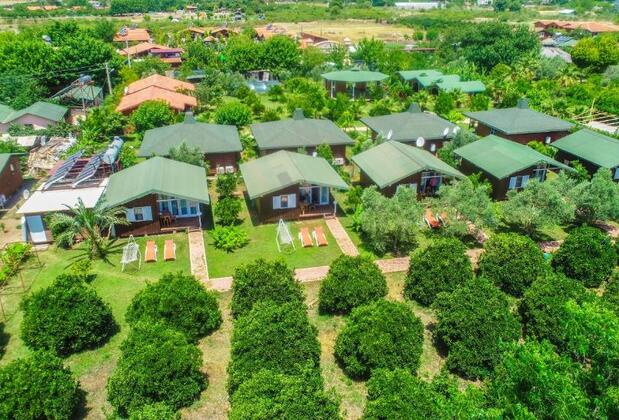 Çıralı Zakkum Bungalow - Görsel 3