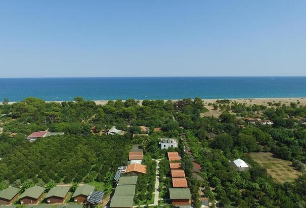 Yıldız Pension Bungalows - Görsel 34