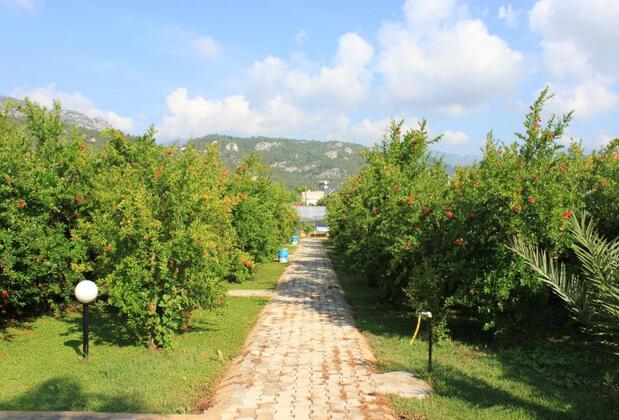 Yıldız Pension Bungalows - Görsel 47