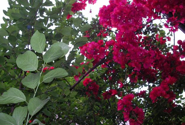 Yükser Pansiyon - Görsel 10