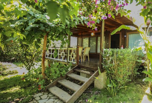 Çıralı Villa Zeytin - Görsel 5