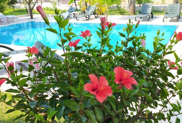 Green Garden Otel Göynük - Görsel 4