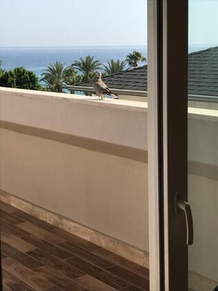 Caligo Apartments - Görsel 26