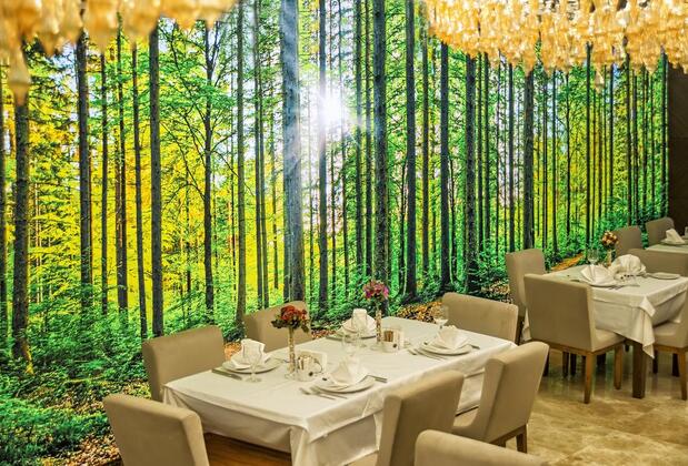 The Conforium Hotel - Görsel 24