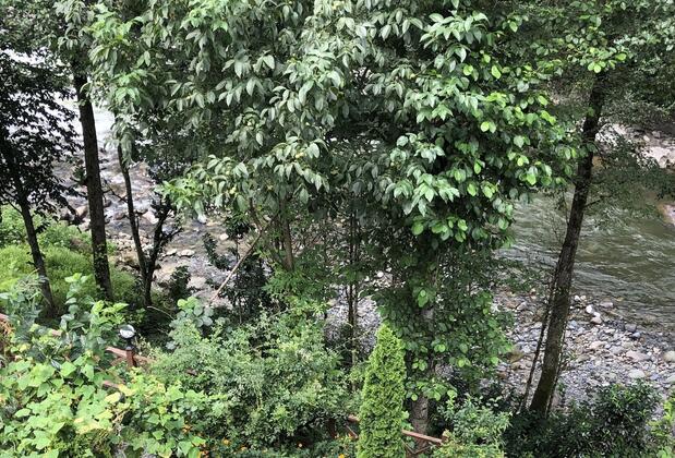 Nehir Bungalows - Görsel 10