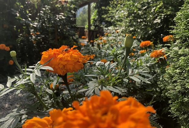 Nehir Bungalows - Görsel 13