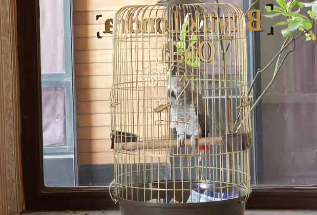 Grand Hotel de Londres - Görsel 23