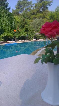 Olympos Angels Garden - Görsel 9