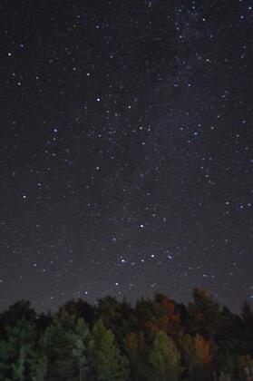 Olympos Angels Garden - Görsel 10