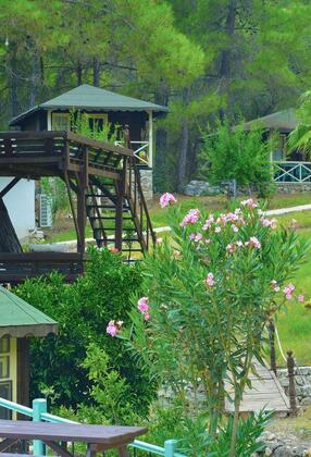 Olympos Angels Garden - Görsel 12