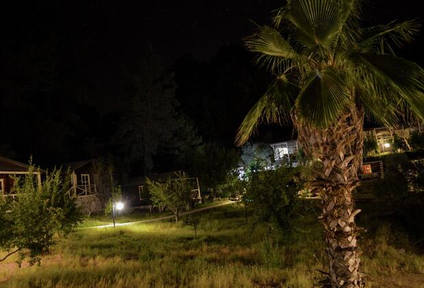 Olympos Angels Garden - Görsel 4