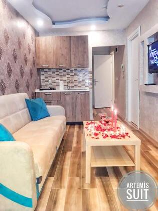 Artemis Suite - Görsel 3