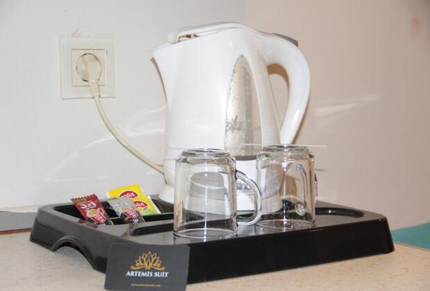 Artemis Suite - Görsel 7