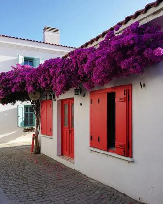 Matilde Sığacık - Görsel 6