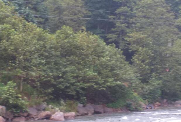 Viya Bungalov - Görsel 5