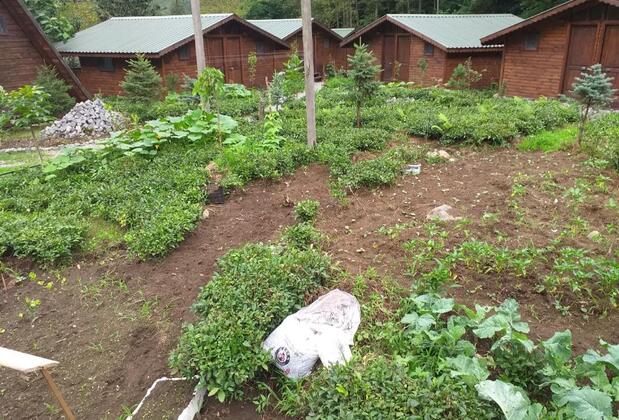 Viya Bungalov - Görsel 7