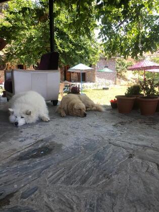 Zirkon Doğa Butik Otel - Görsel 11