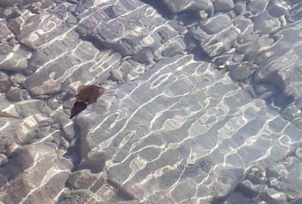 Demre Apart - Görsel 7