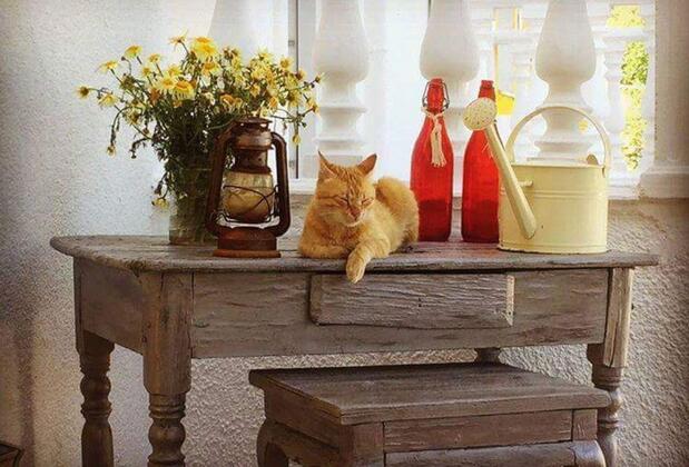 Limon Pansiyon Foça - Görsel 8