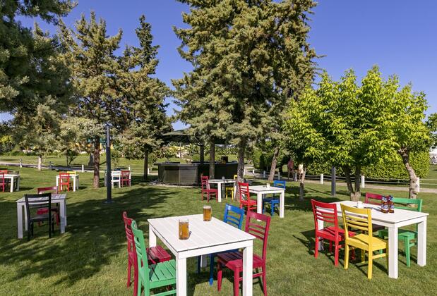 Majesty Club Kemer Beach Hotel - Görsel 10