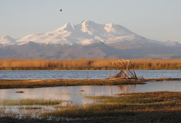 Sultan Pansion Bird Paradise - Görsel 9