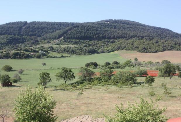 Hotel Casa Villa - Görsel 4