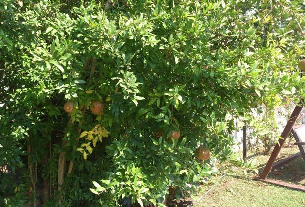 Hotel Casa Villa - Görsel 5