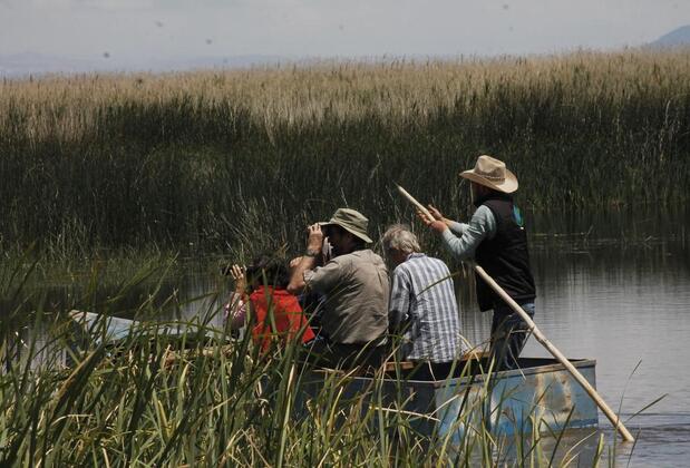 Sultan Pansion Bird Paradise - Görsel 39