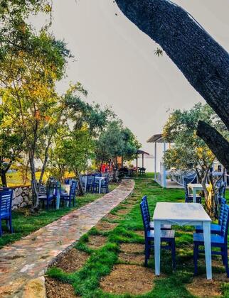 Zeytin Dalı Butik Otel & Beach - Görsel 8