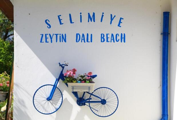 Zeytin Dalı Butik Otel & Beach - Görsel 3