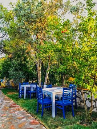 Zeytin Dalı Butik Otel & Beach - Görsel 17