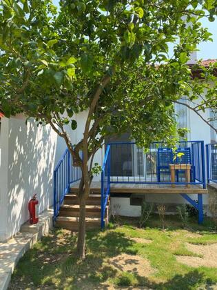 Zeytin Dalı Butik Otel & Beach - Görsel 14