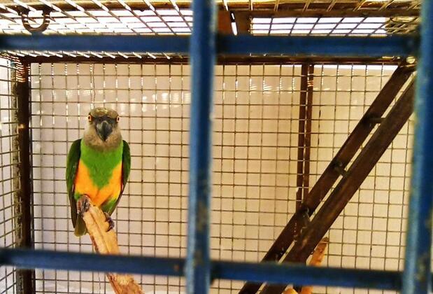 İdeal Pension - Görsel 12