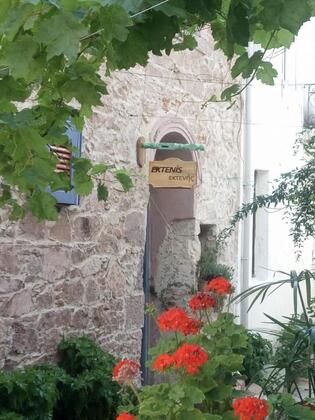 Ektenis Konuk Evi - Görsel 6